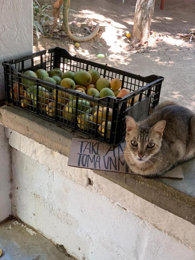 Posada La Huerta Масунте Екстериор снимка